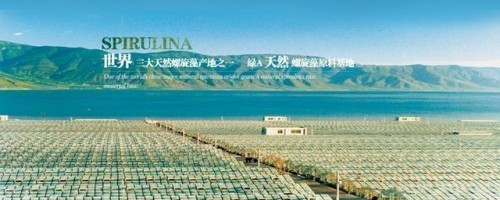 市場(chǎng)監(jiān)管總局正式認(rèn)可！螺旋藻增強(qiáng)免疫力再添權(quán)威認(rèn)證！
